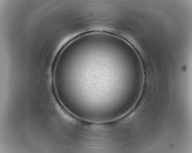 X0000091971032200709131333
