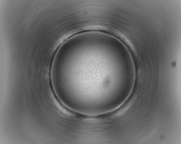X0000091971033200709131333