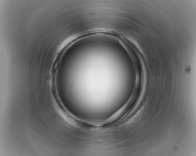 X0000091971034200709131333