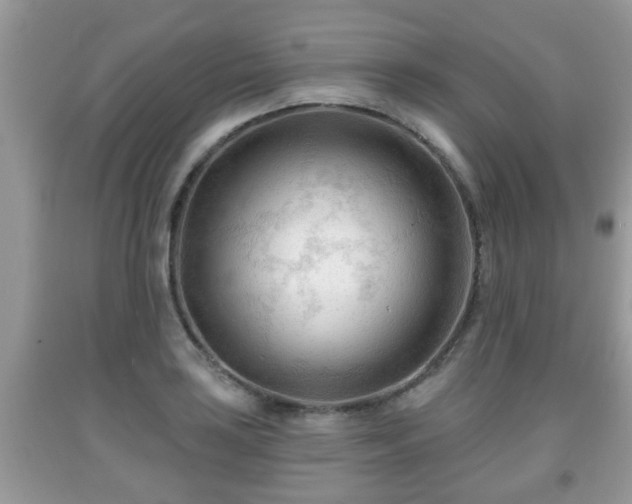 X0000091971035200709131333
