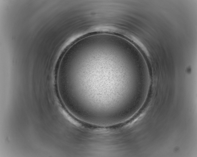 X0000091971037200709131333