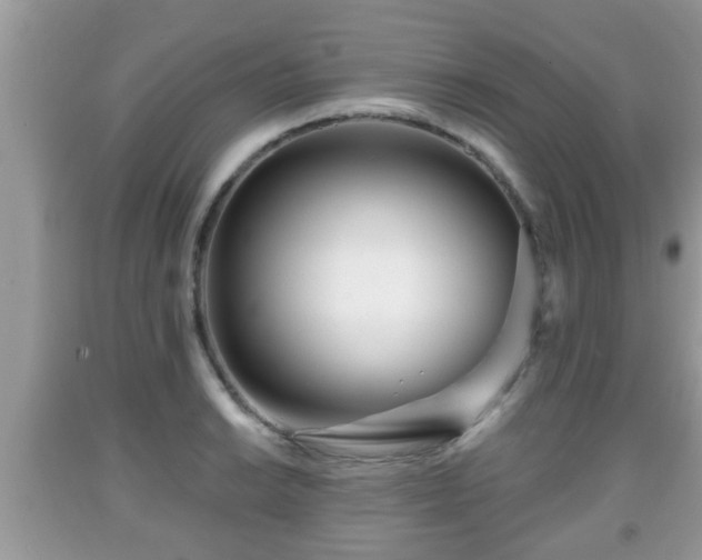 X0000091971038200709131333
