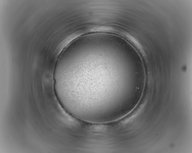 X0000091971041200709131334