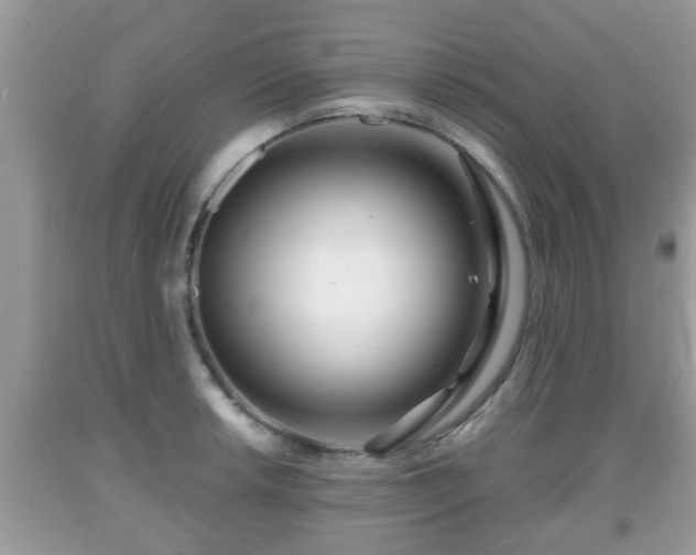 X0000091971042200709131334