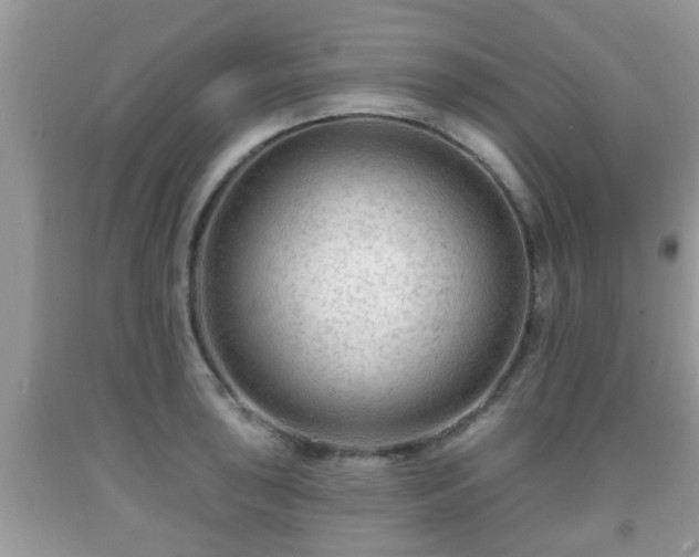 X0000091971043200709131334