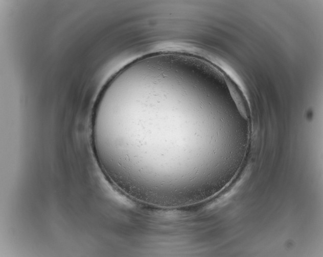 X0000091971045200709131334