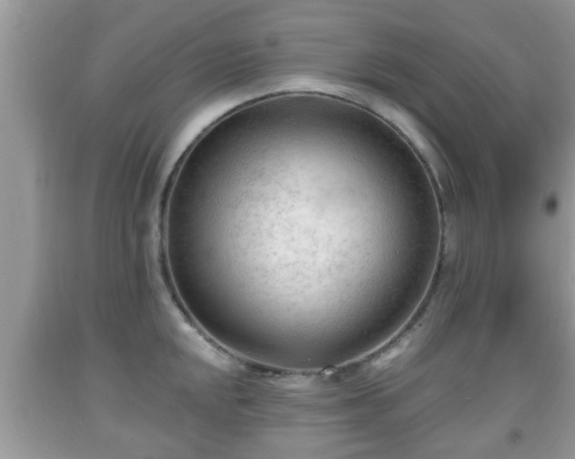 X0000091971048200709131334