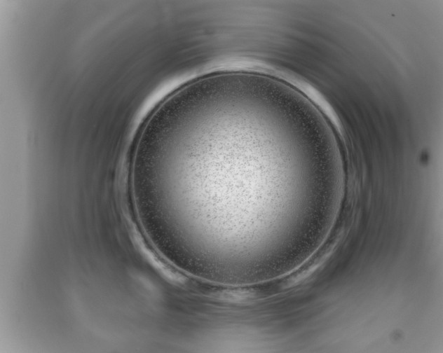 X0000091971053200709131334
