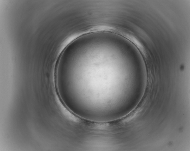 X0000091971055200709131334
