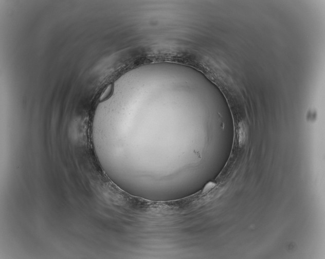 X0000091971059200709131333