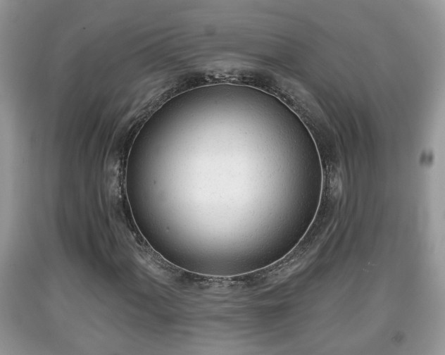 X0000091971060200709131333