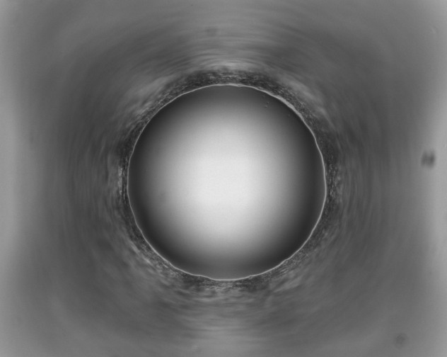 X0000091971061200709131333