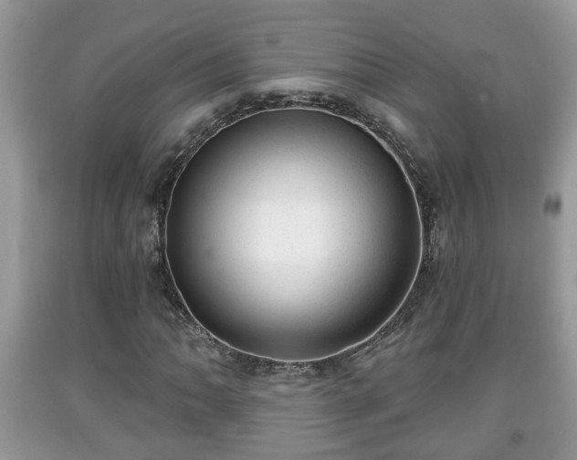 X0000091971062200709131333