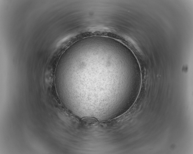 X0000091971063200709131333
