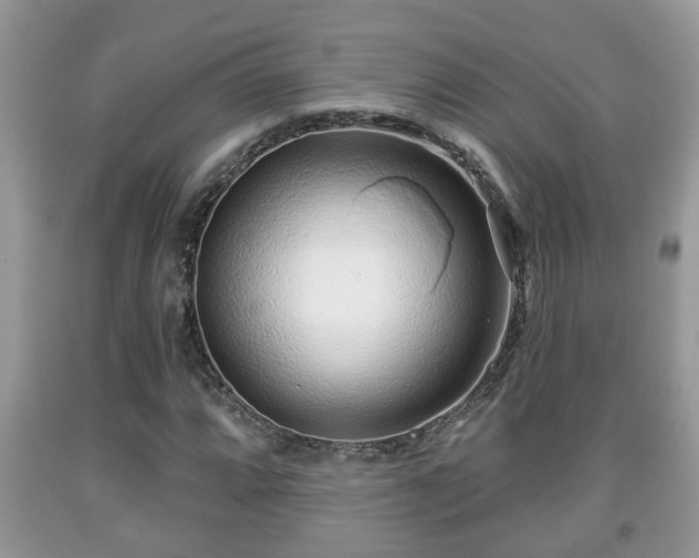 X0000091971064200709131333