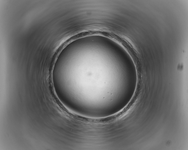X0000091971065200709131333