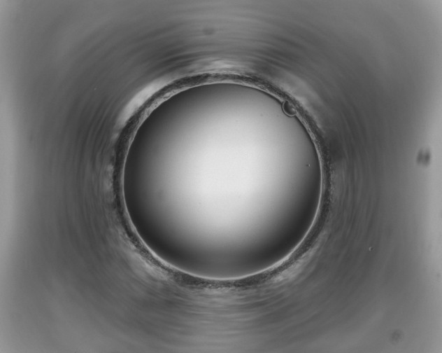 X0000091971066200709131333