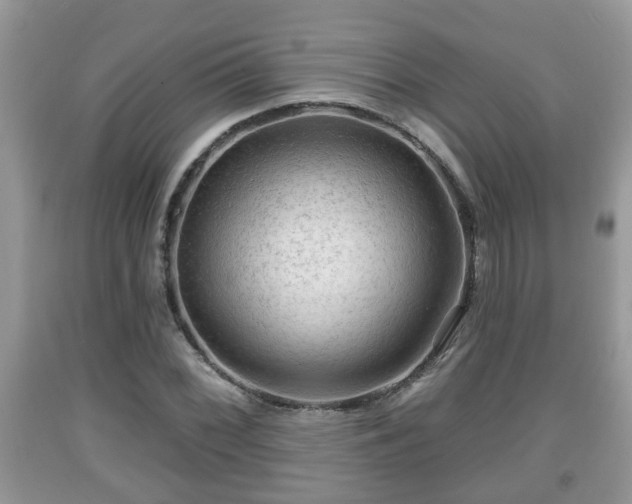 X0000091971068200709131333