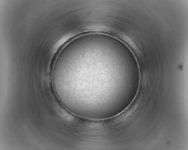 X0000091971071200709131333