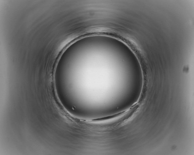 X0000091971073200709131333