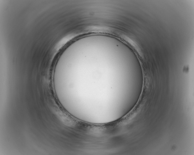 X0000091971074200709131333