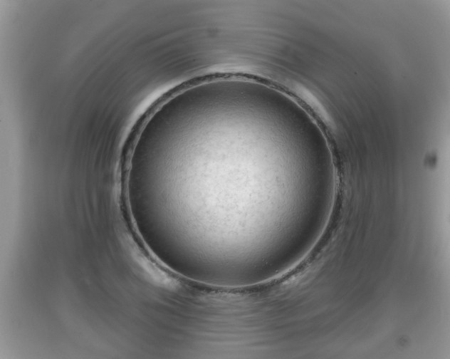 X0000091971076200709131333