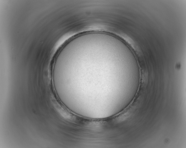 X0000091971078200709131333