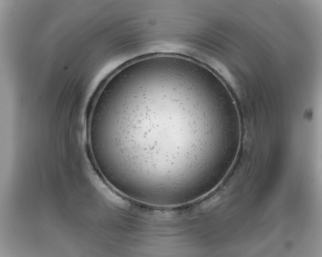X0000091971080200709131333