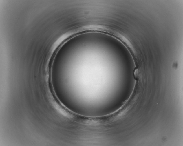 X0000091971082200709131333