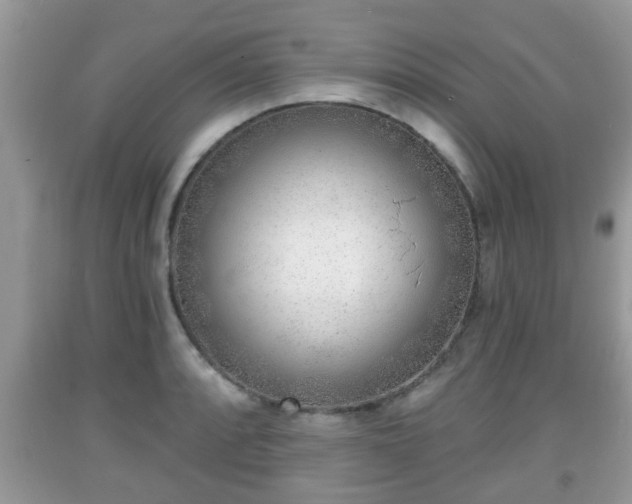 X0000091971088200709131333