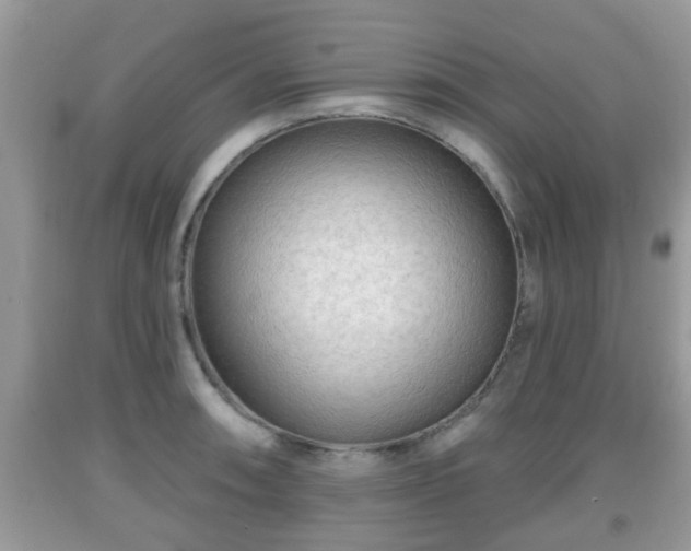 X0000091971090200709131333