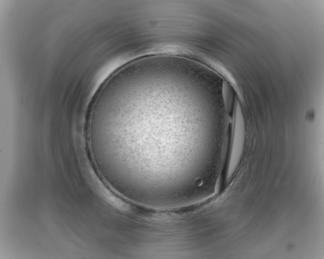 X0000091971091200709131333