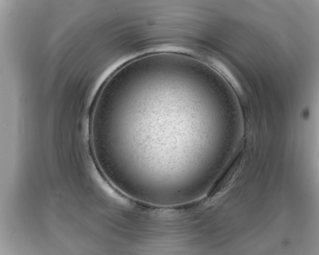 X0000091971092200709131333