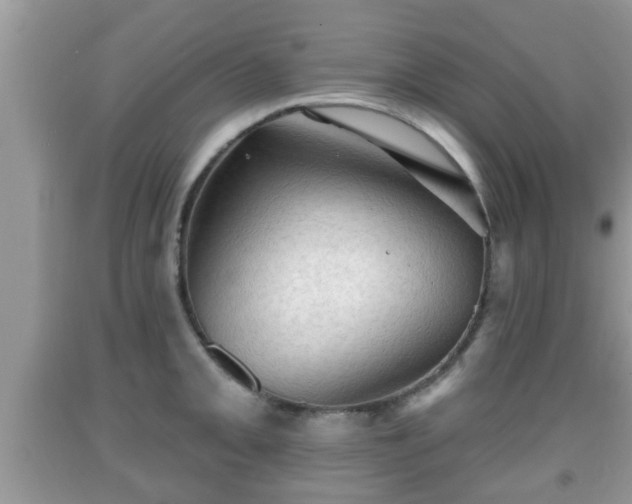 X0000091971093200709131333
