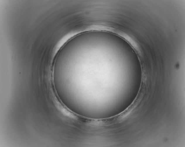 X0000091971094200709131333