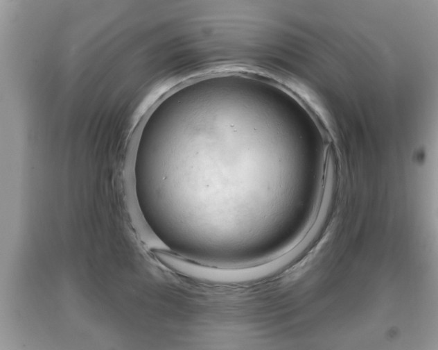 X0000091971097200709131333