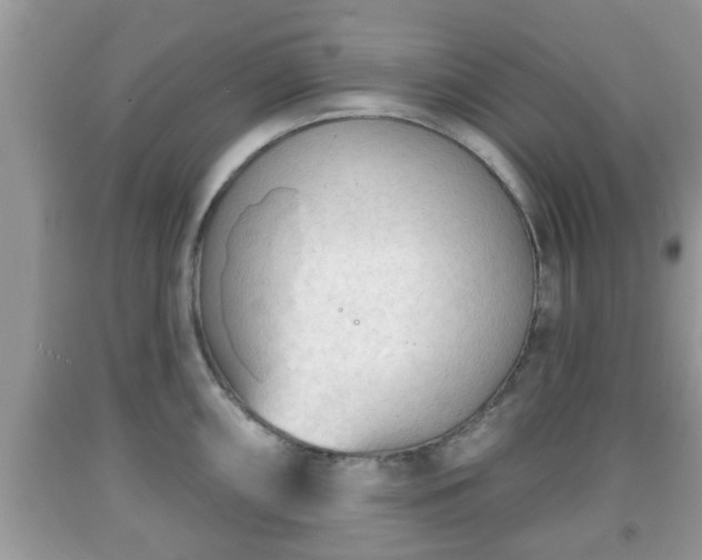 X0000091971098200709131333