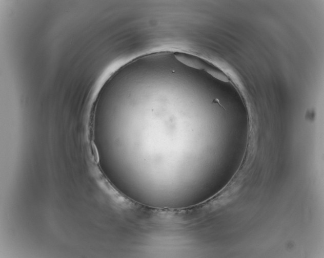 X0000091971104200709131333