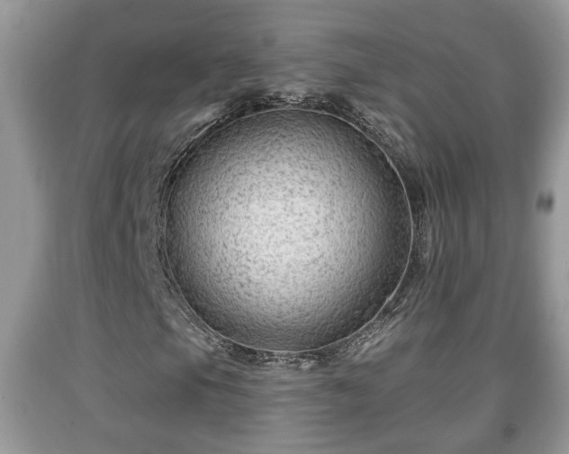 X0000091971105200709131332