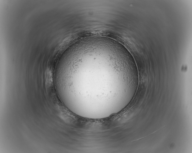 X0000091971106200709131332