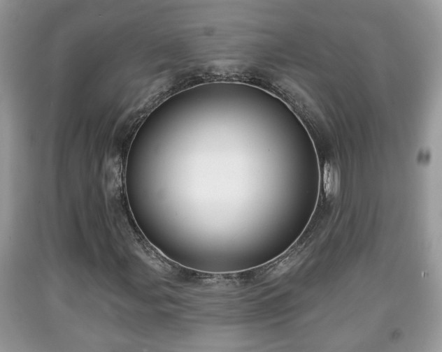 X0000091971107200709131332
