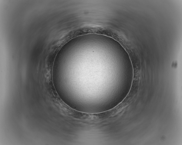 X0000091971109200709131332