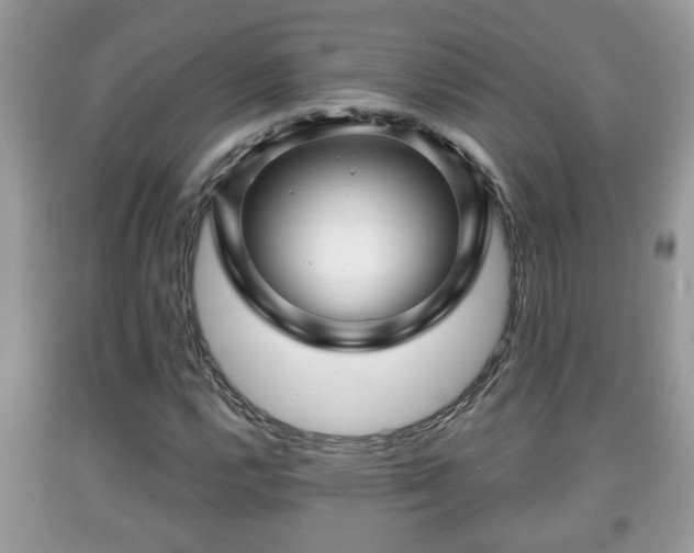 X0000091971112200709131332