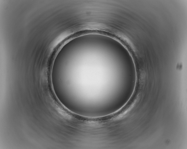 X0000091971114200709131332