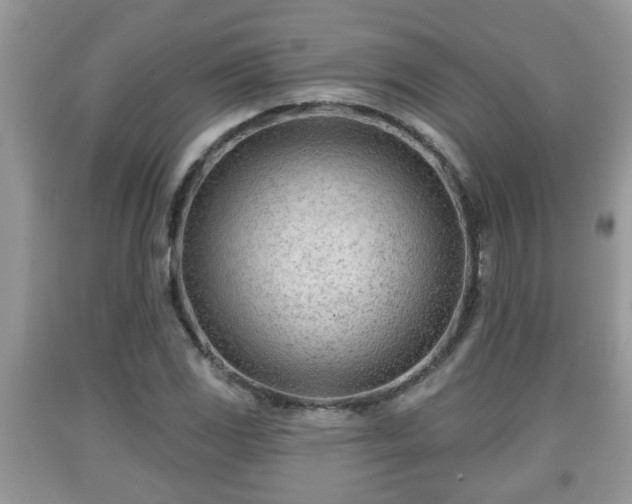 X0000091971117200709131332