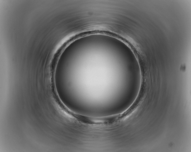 X0000091971118200709131332