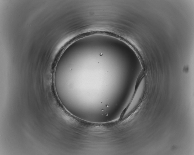 X0000091971119200709131332