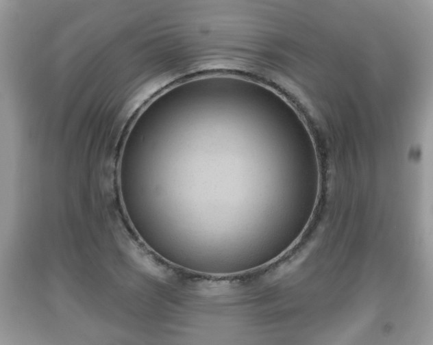 X0000091971121200709131332