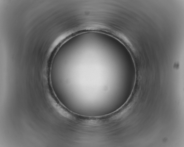 X0000091971122200709131332