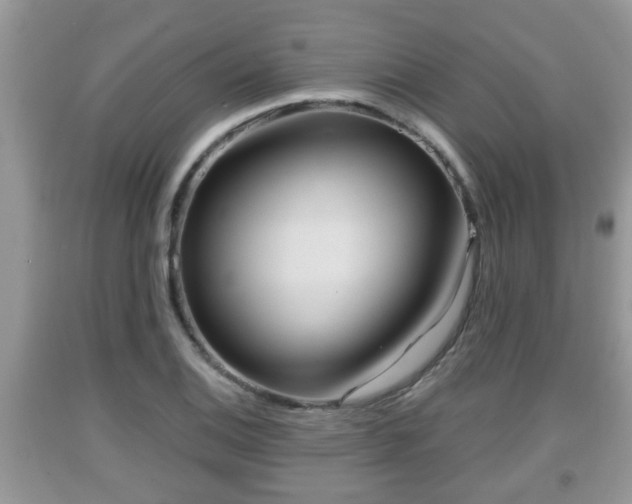X0000091971124200709131332